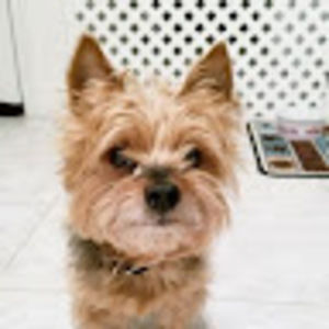 Meet your Posher, Matthew